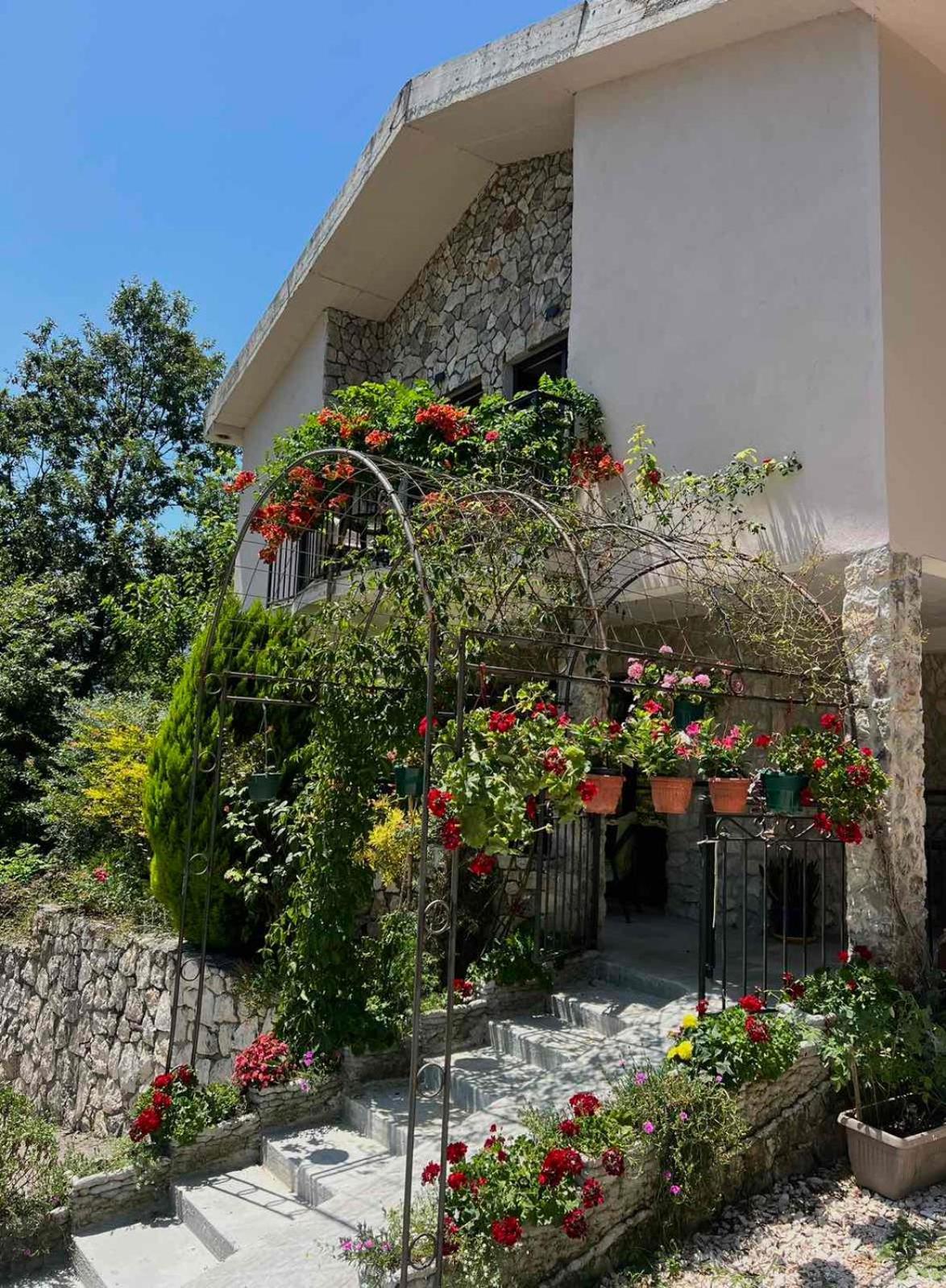 Dado Διαμέρισμα Virpazar Εξωτερικό φωτογραφία