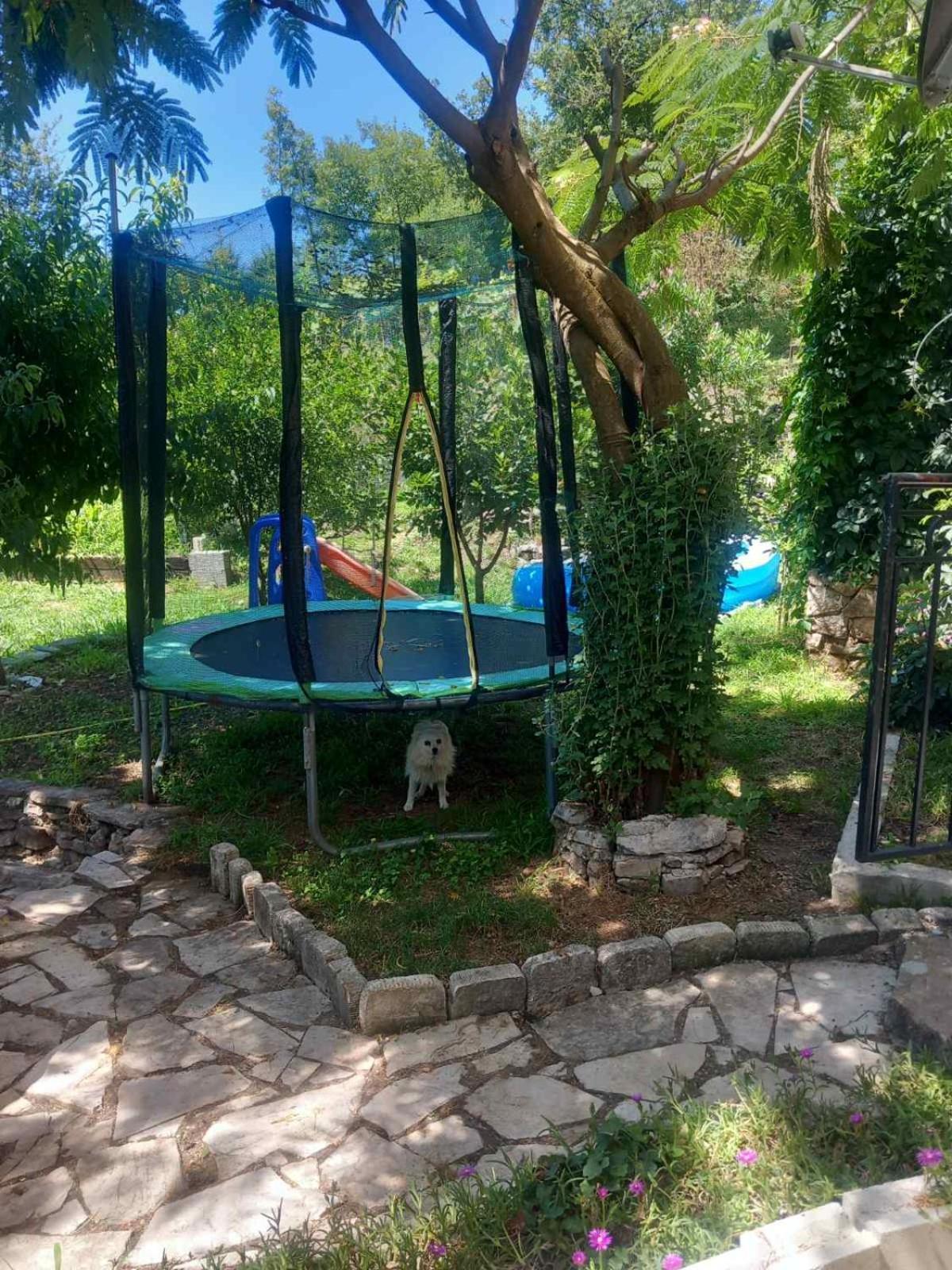 Dado Διαμέρισμα Virpazar Εξωτερικό φωτογραφία